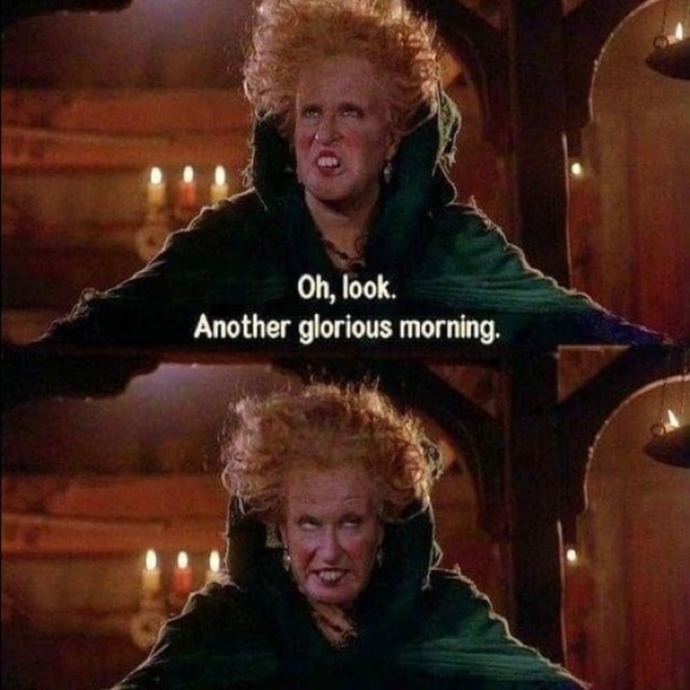 Meet your Posher, Tasha